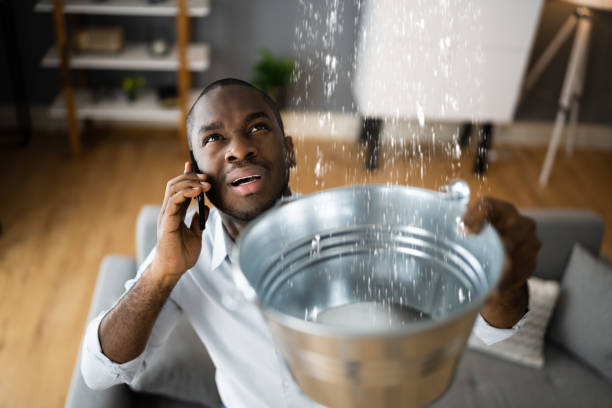 Trusted SC Water damage restoration Experts
