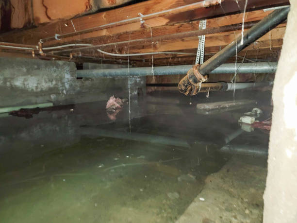 Best Water damage restoration cost  in Manning, SC