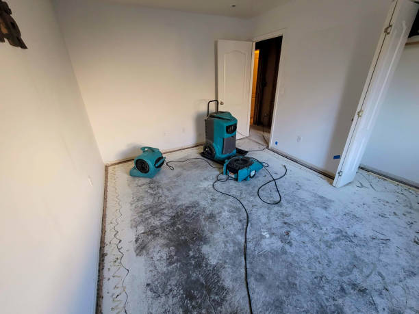 Best Local water damage restoration  in Manning, SC