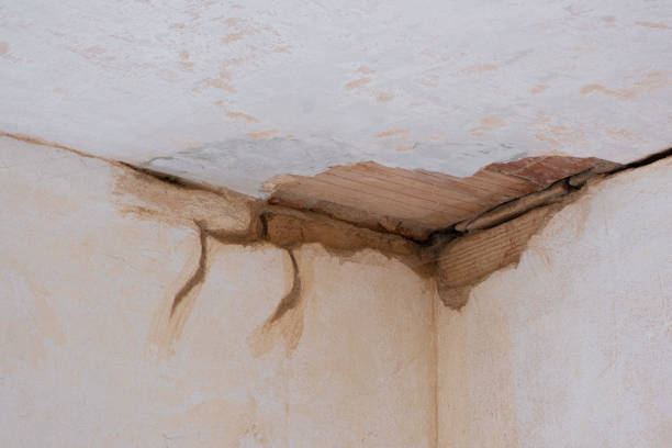 Best Emergency water damage restoration  in Manning, SC