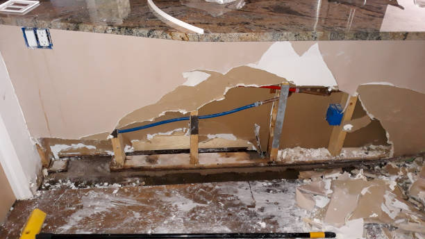 Best Water damage restoration mold remediation  in Manning, SC