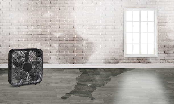Best Water damage restoration near me  in Manning, SC