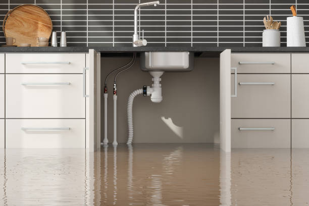 Best Water damage restoration near me  in Manning, SC