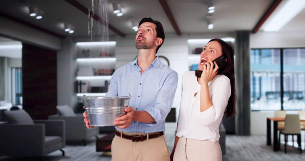 Best 24-hour water damage restoration  in Manning, SC