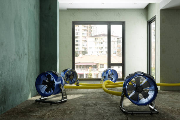 Best Ceiling water damage repair  in Manning, SC