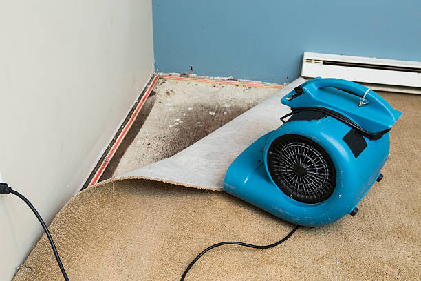 Best Residential water damage restoration  in Manning, SC